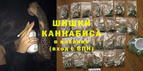 дживик Каменка