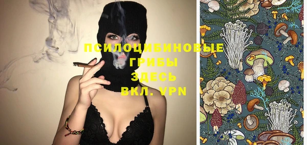 MDMA Каменногорск