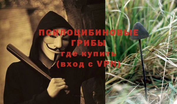 каннабис Инта
