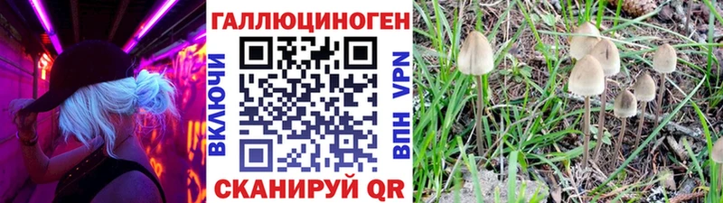 Псилоцибиновые грибы Magic Shrooms  blacksprut   Макушино 